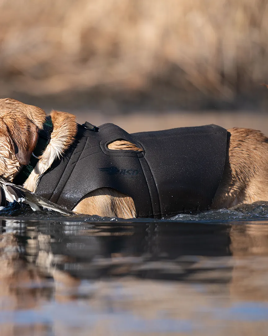 Boater's Dog Parka