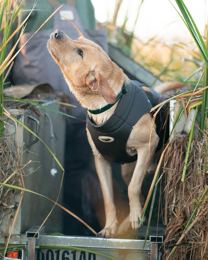 Boater's Dog Parka