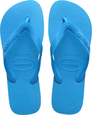 Havaianas Unisex Top Turquoise | Buy Havaianas Unisex Top Turquoise here | Outnorth