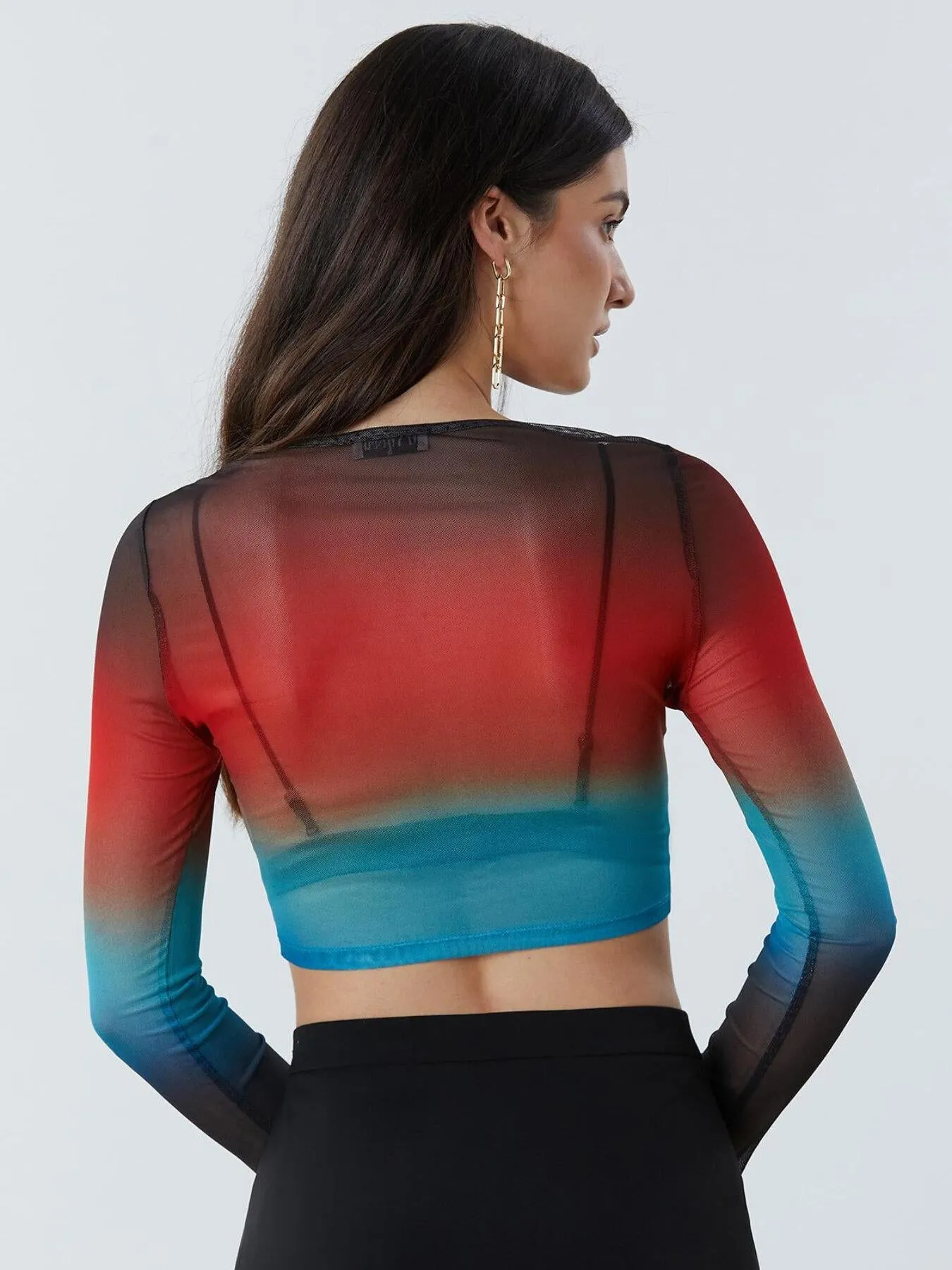 Ombre Sheer Round Neck Crop Top