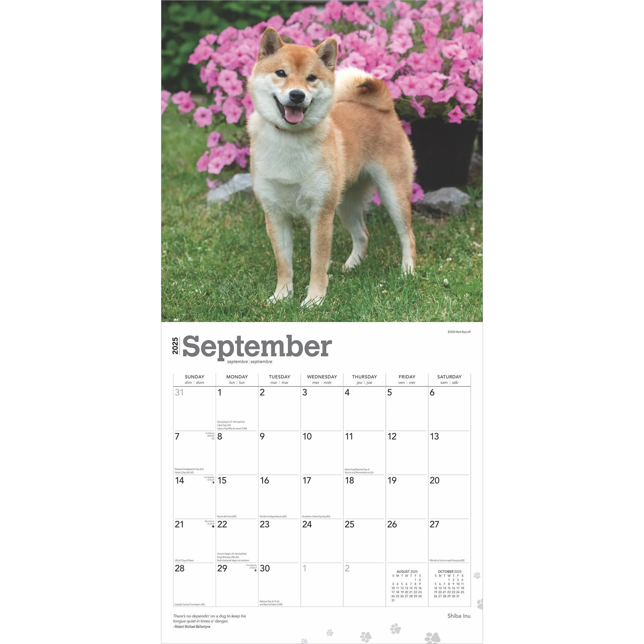 Shiba Inu Wall 2025 Calendar