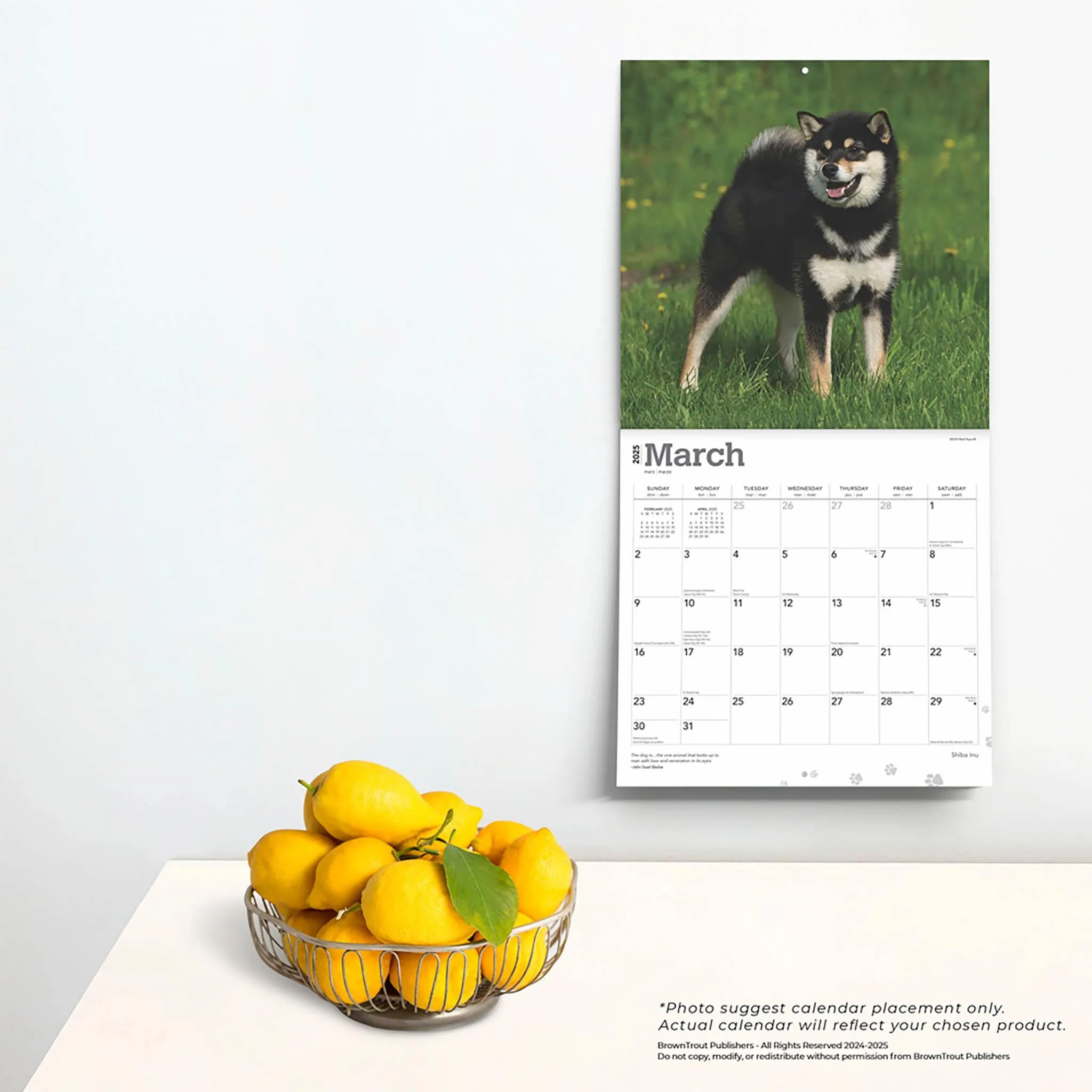 Shiba Inu Wall 2025 Calendar