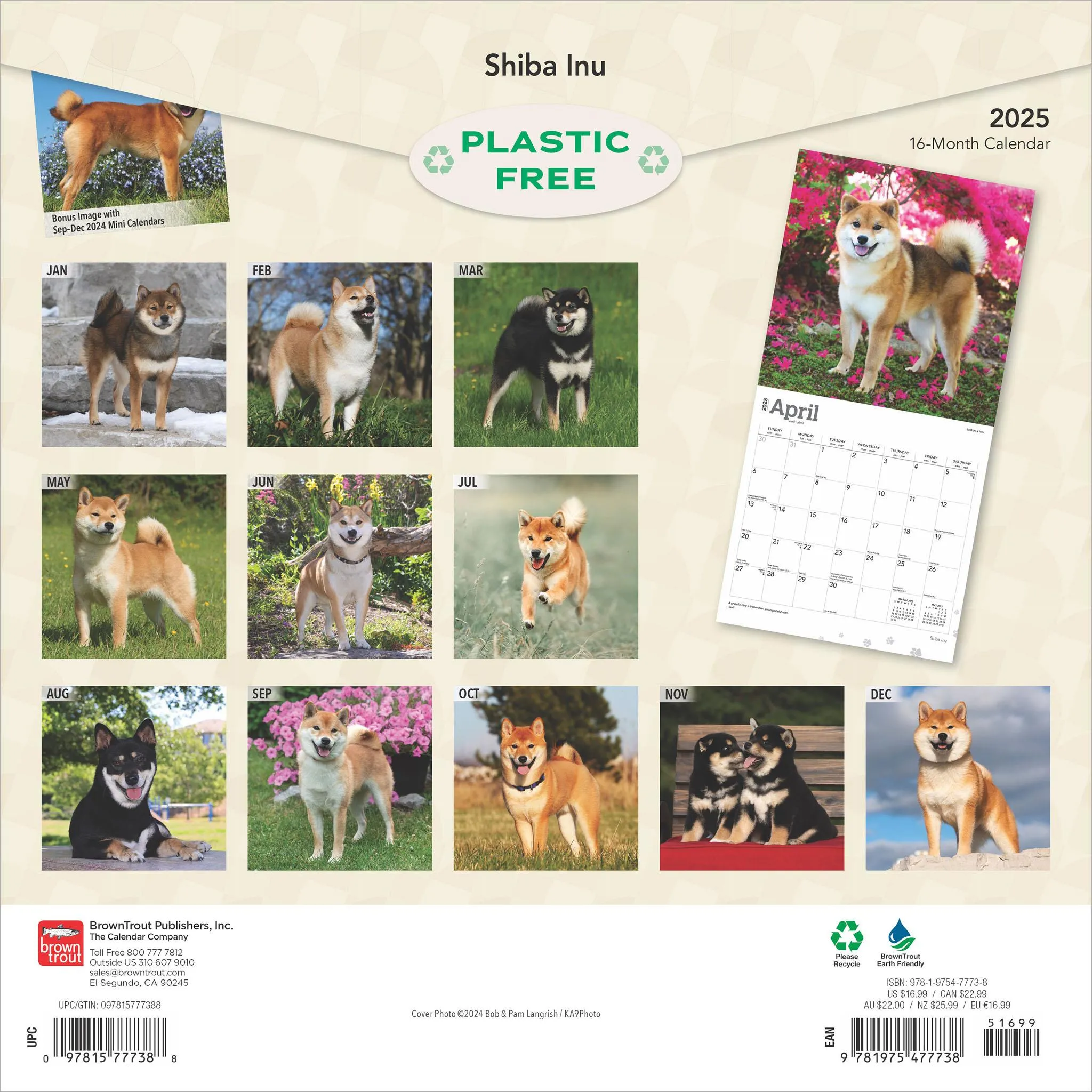 Shiba Inu Wall 2025 Calendar