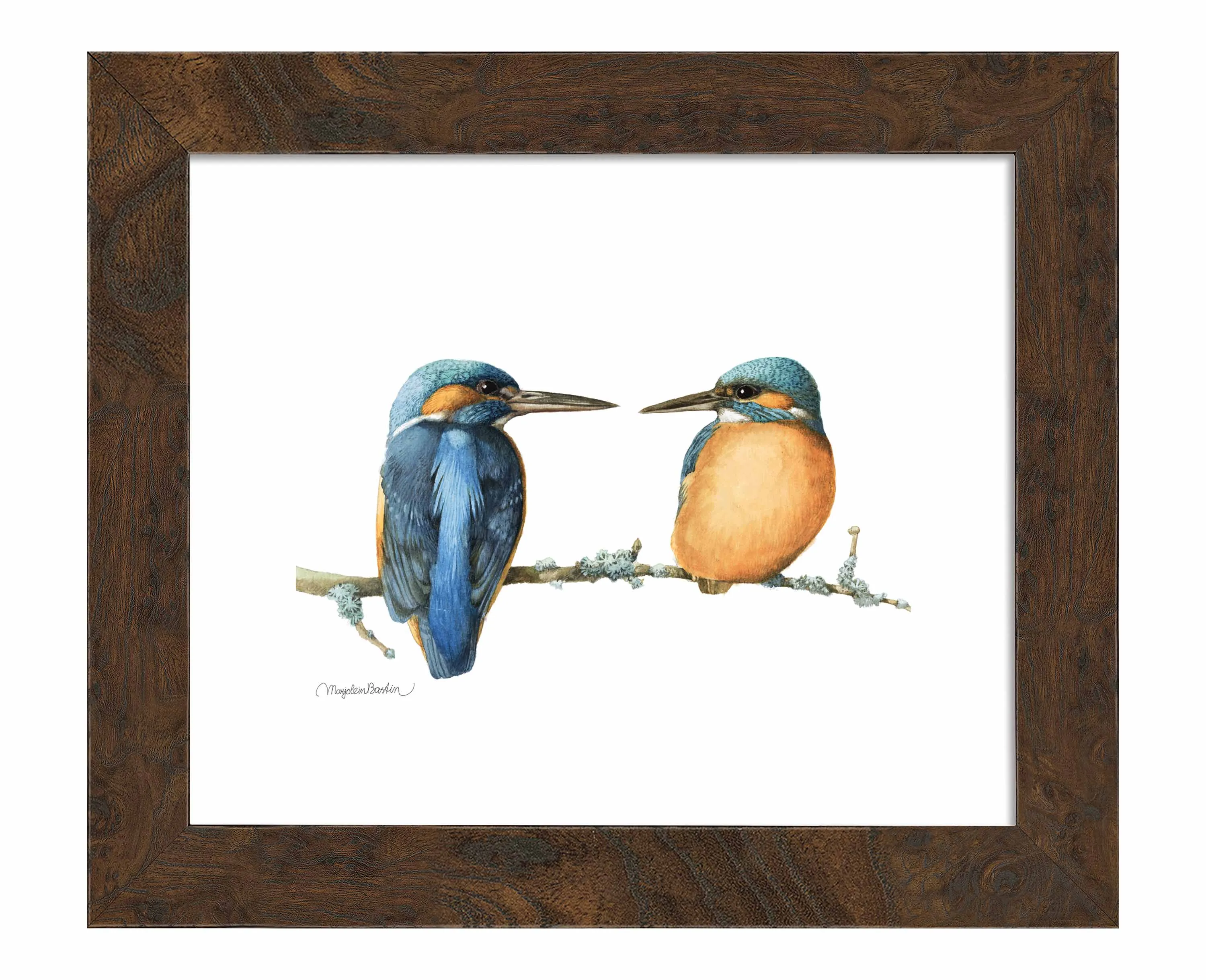 The Common Kingfisher - Art Prints