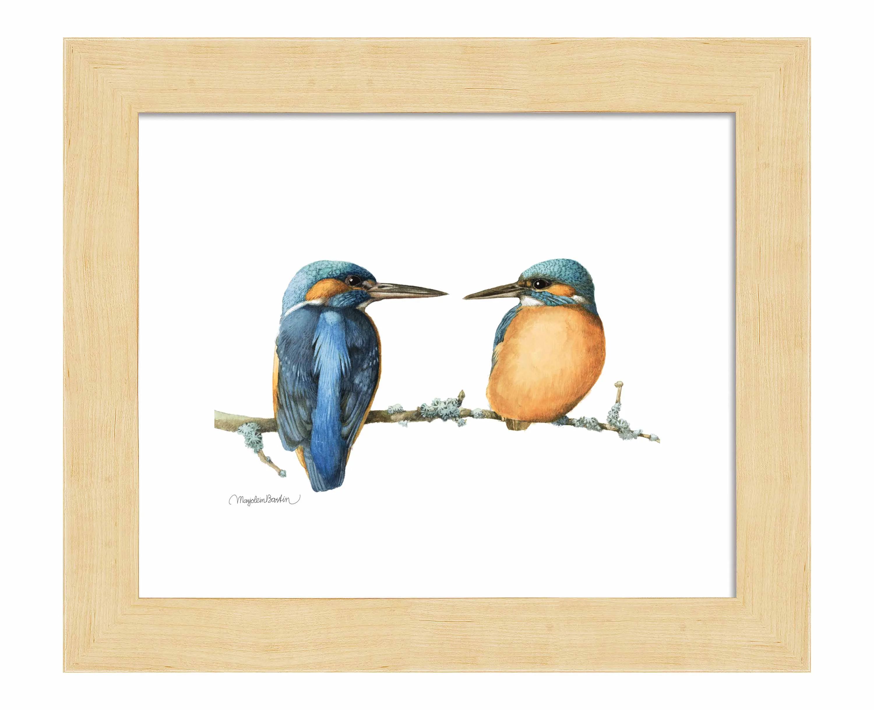 The Common Kingfisher - Art Prints